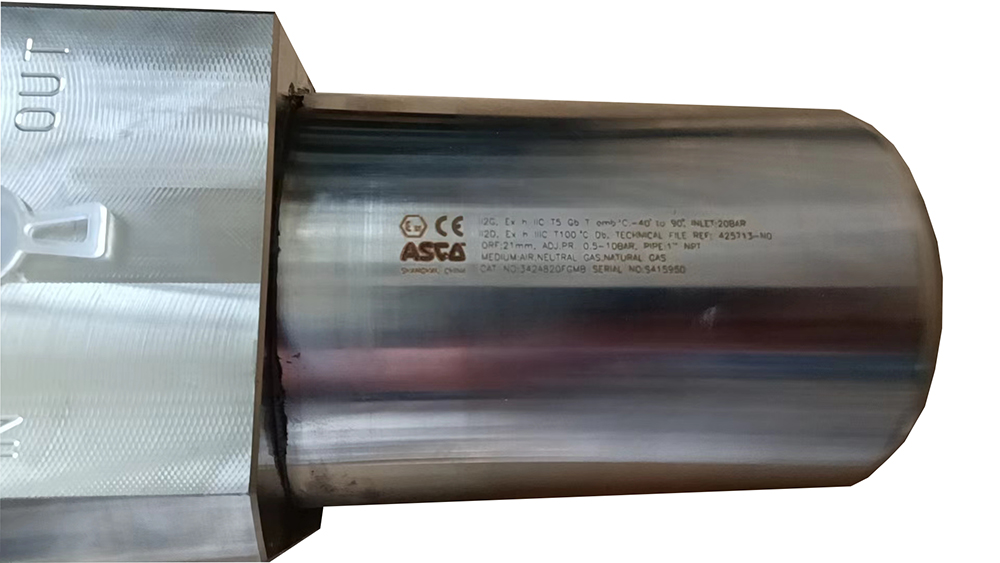 ASCO过滤器342A820FGMB