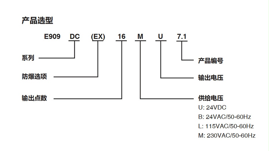 ASCO脉冲控制仪E909PB16MU2.6.图2