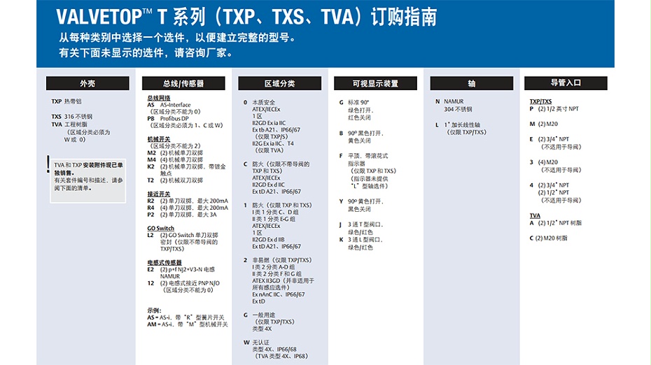 TOPWORX阀位指示器TXP-P2CGNPM.图